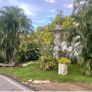 Apartment Jungle Bungalow Studio In, Rincon